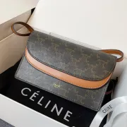 CELINE 2024 new handbag #A34856 CELINE 2024 new handbag #A34856