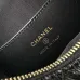 Chanel Black Quilted Leather Bag With Pearl And Gold Chain Chain Accents #A50411