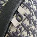 D-ior Oblique Pattern Backpacks In Classic And Monochrome Styles For Modern Luxury #A50079