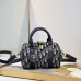 DIOR Blue Oblique Print Fabric Bag #A61246