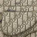 D-ior Beige Oblique Pattern Crossbody Bag With Signature Strap And Pouch  size:23×17×4cm #A54108
