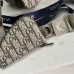 D-ior Beige Oblique Pattern Crossbody Bag With Signature Strap And Pouch  size:23×17×4cm #A54108
