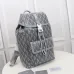 D-ior Geometric Pattern Backpacks In Dual Tones For Contemporary Luxury And Functionality Description #A50074