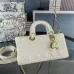 D-ior Elegant and classic  lady d-joy  portable shoulder back  crossbody bag #A22911