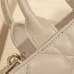D-ior Lady D - Joy Bags In Varied Colors And Quilted Design size:21×13×7cm #A53704