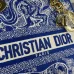 D-ior Lady D - Lite Bag With Blue Toile De Jouy Print And Branded Strap size:24×20×11cm #A53708