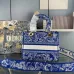 D-ior Lady D - Lite Bag With Blue Toile De Jouy Print And Branded Strap size:24×20×11cm #A53708