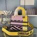 D-ior Lady D - Lite Bag With Vibrant Pink And Artistic Embellishments size:24×20×11cm #A53709