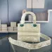 D-ior Lady D - Lite Bag With Intricate Pattern And Branded Accents size:24×20×11cm #A53712