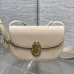 Dior Medaillon Leather Crossbody Saddle Bag 3922 23×16×6.5cm #B69353