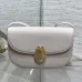 Dior Medaillon Leather Crossbody Saddle Bag 3922 23×16×6.5cm #B69353