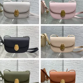 Dior Medaillon Leather Crossbody Saddle Bag 3922 23×16×6.5cm #B69353