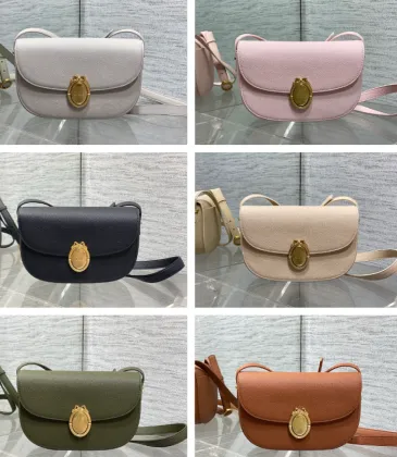 Dior Medaillon Leather Crossbody Saddle Bag 3922 23×16×6.5cm #B69353