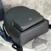 D-ior backpack 93933 #A55275