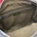 Gucci 795479 GG Canvas Crossbody Bag with Web Strap #A61861