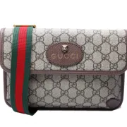 GUCCI Supreme Neo Web Belt Brown   #A65575