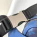Louis Vuitton Outdoor Waist Crossbody Bag M30245, 21x17x5cm #B69346
