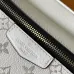 Louis Vuitton Outdoor Waist Crossbody Bag M30247, 21x17x5cm #B69344