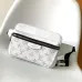 Louis Vuitton Outdoor Waist Crossbody Bag M30247, 21x17x5cm #B69344