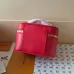 Louis Vuitton Epi Leather Vanity Case Collection - Luxury Cosmetic Bags with Gold-Tone Zippers in Multiple Elegant Colors M25857 #A58353