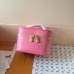 Louis Vuitton Epi Leather Vanity Case Collection - Luxury Cosmetic Bags with Gold-Tone Zippers in Multiple Elegant Colors M25857 #A58353