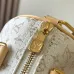 Louis Vuitton Mini Speedy Bag In Light Monogram Canvas With Leather Trim And Strap #A50833