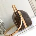 Louis Vuitton Speedy Icons Women Bag #A49388