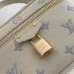 LV Vanity Chain Pouch Leather Crossbody Cosmetic Bag 11.5×6.5×19cm #A65050