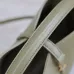 SAINT LAURENT Le 5 à 7 Small Bucket Bag – Olive Green Smooth Leather with Gold YSL Logo (Adjustable Crossbody Strap) #A58781
