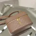 Saint Laurent GABY MINI Quilted Leather Vanity Case 18×11×6.5cm #A65022