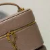 Saint Laurent GABY MINI Quilted Leather Vanity Case 18×11×6.5cm #A65022