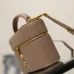 Saint Laurent GABY MINI Quilted Leather Vanity Case 18×11×6.5cm #A65022