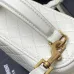 Saint Laurent Women's Quilted Handbags Iconic YSL Logo with Multiple Colors  Versatile Design for Luxury Enthusiasts #A57474