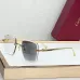 Cartier AAA+ Sunglasses #A66037
