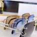 Cartier AAA+ Sunglasses #A66039