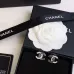 Chanel Earrings #A65432