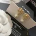 Chanel Earrings #A65518