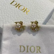 Dior Earrings #B68710