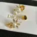 D-ior Earrings #A52945