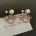 D-ior Tribales Gradient Logo Earrings #A50089
