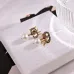 D-ior Tribales Gradient Logo Earrings #A50090