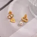 D-ior Tribales Gradient Logo Earrings #A50091