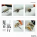 HERMES Earrings #A65545