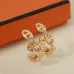 HERMES Earrings #A65554