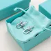Tiffany Designer Style earrings  and  original box #A65167