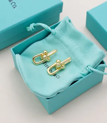 Tiffany Designer Style earrings  and  original box #A65168