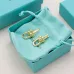 Tiffany Designer Style earrings  and  original box #A65168