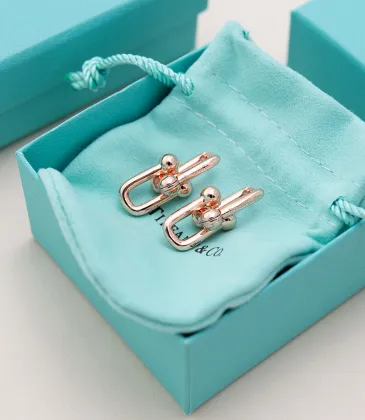 Tiffany Designer Style earrings  and  original box #A65169