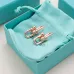 Tiffany Designer Style earrings  and  original box #A65169