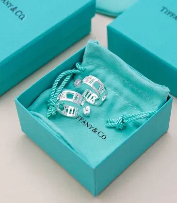 Tiffany Designer Style earrings  and  original box #A65171